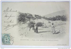 ALGERIE - EL-KANTARA - FEMME ARABE RAPPORTANT DES BRANCHES DE PALMIERS