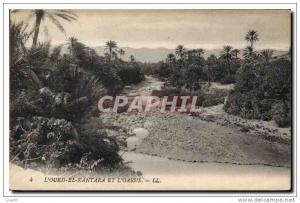 CPA L'Oued el Kantara et L'Oassis