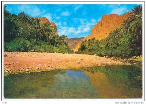 CPSM 9 x 14 Algérie EL KANTARA Les Gorges