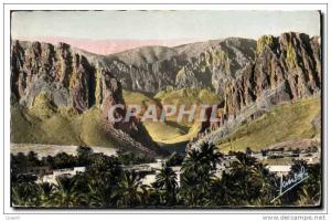 CPA Paysages du Sud Oasis dans les Gorges d'El Kantara