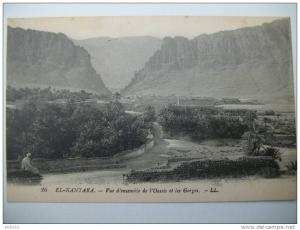 CPA  EL- KANTARA - Vue d'ensemble de l'Oasis et les Gorges