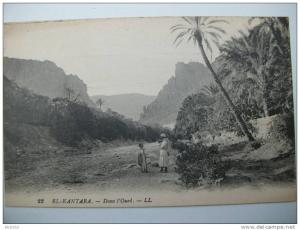 CPA  EL- KANTARA - Dans l'Oued
