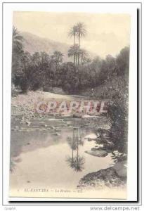 Algerie El Kantara CPA La riviere