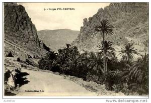 ALGERIE  GORGES D'EL KANTARA