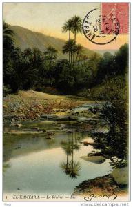 EL KANTARA - 7310 - LA RIVIERE - 1906