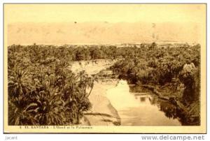 El Kantara - L'Oued et la Palmeraie