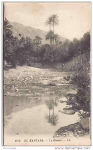 Algérie - EL KANTARA - La Rivière