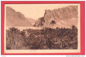 09121) EL KANTARA, La PALMERAIE et les GORGES - Edition Mariua Maure, Biskra