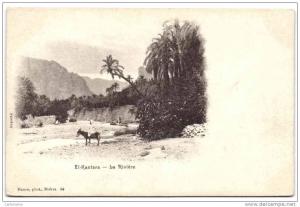El-Kantara - La Rivière