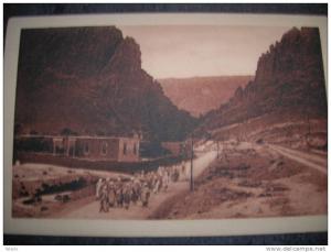 El-Kantara groupe d´arabes