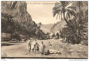 Fev13 207 El-Kantara  -  L'Oued  -  Gorges