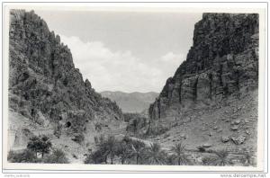 Algeria - Algiers - El Kantara - Gate of the Dessert (Real Photo card)