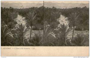PHOTO STEREOSCOPIQUE  *** ALGERIE  *** L'OASIS D'EL KANTARA