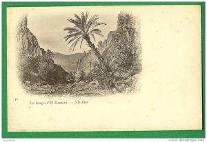 cpa  ALGERIE  -   les gorges d'El Kantara    ..........LMC15