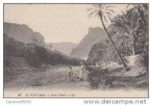 El-Kantara    dans l'Oued          scan 3034