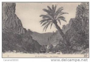El-Kantara     Les gorges           scan 3033