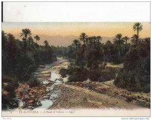 *** ALGERIE - EL-KANTARA - L' Oued et l'Oasis *** CPA Non-Ecrite  Edts LL