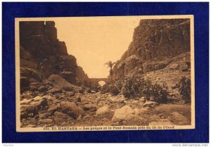 ALGERIE / ALGERIEN       El Kantara Les Gorges et le Pont Romain pris du lit de l'Qued