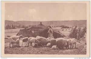 Algeria Tente de nomades pres d'El Kantara 2 scans