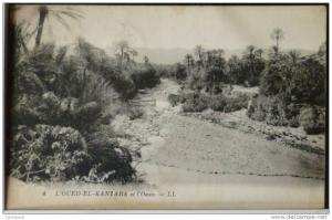 algerie L OUED EL KANTARA  et oasis LL N° 4 voyagé 1925 cachet ambulant