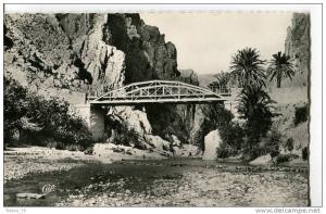 CPSM FORMAT CPA  -   LES GORGES D' EL KANTARA  -  LA PASSERELLE