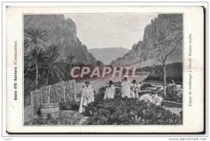 CPA Oasis d eL Kantara Contantine Lecon de jardinage a l ecole f