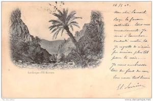 Les Gorges d'El-Kantara