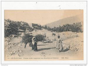 EL KANTARA FEMME ARABE RAPPORTANT DES BRANCHES DE PALMIERS CPA ALGERIE BON ETAT