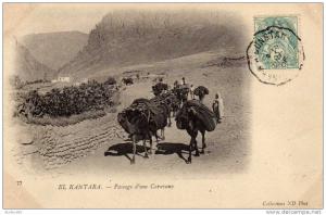 Afrique Algérie, El Kantara, Passage d'une Caravane, voyagée avec timbre, datée du 17 Avril 1906, collections ND.