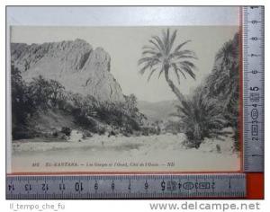 3670 El Kantara, Les Gorges et l'Oued, Coté de l'Oasis