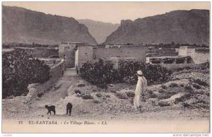 CPA * * EL-KANTARA * * Le Village Blanc