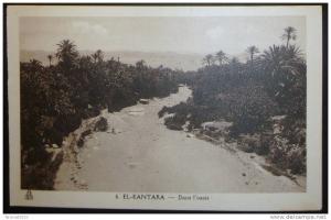 CPA ALGERIE EL KANTARA DANS L'OASIS