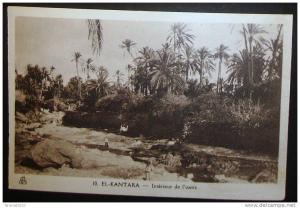 CPA ALGERIE EL KANTARA INTERIEUR DE L'OASIS ANIMEE