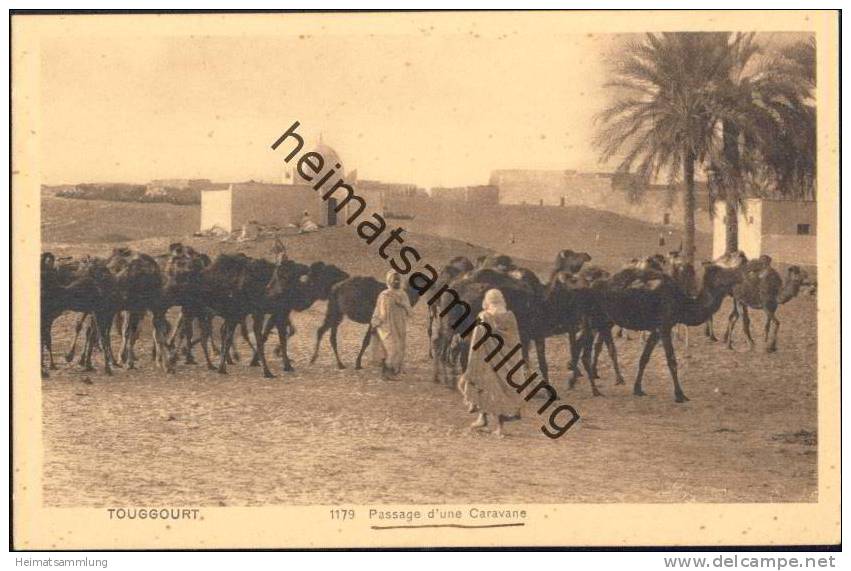 Touggourt - Passage d'une Caravane