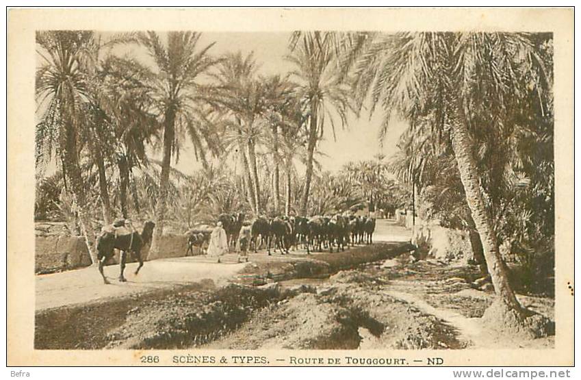 CPA     Scènes et Types   Route de Touggourt   F-23