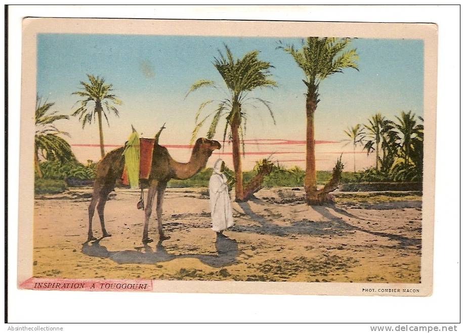 ALGERIE  TOUGGOURT inspiration