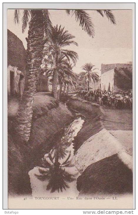 CPA TOUGGOURT, UNE RUE DANS L OASIS