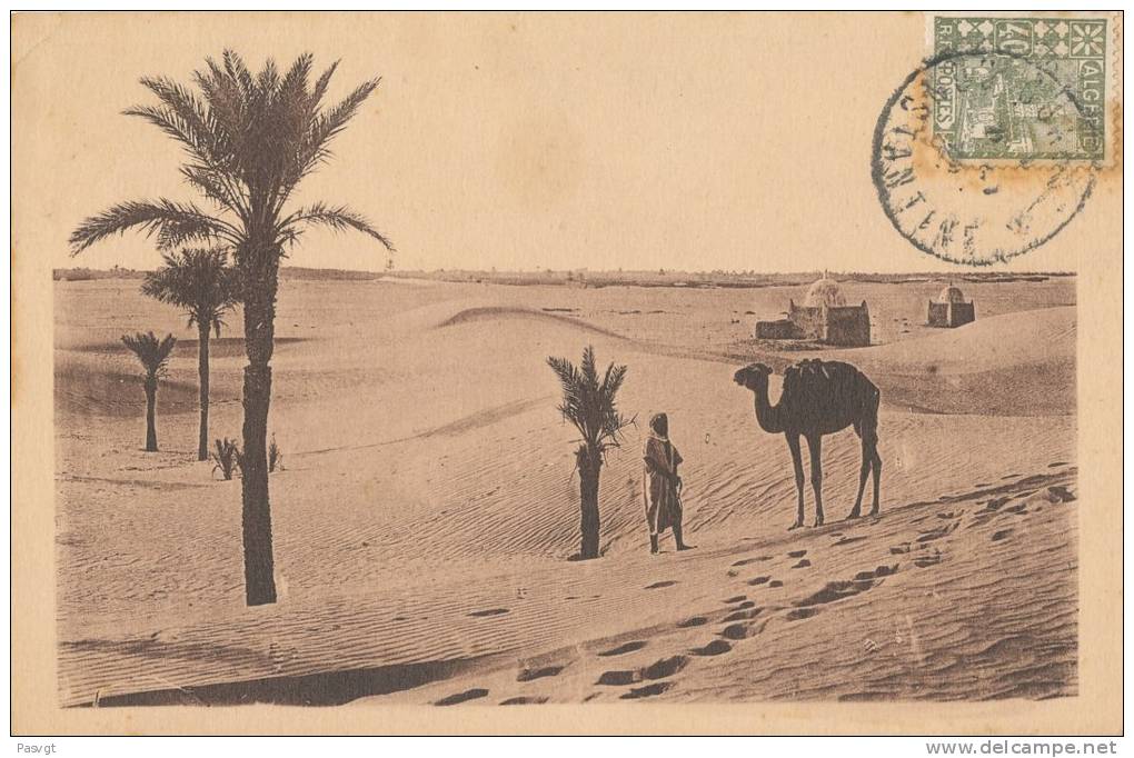 MAROC  DUNES DE SABLE PRES DE TOUGGOURT ANIME