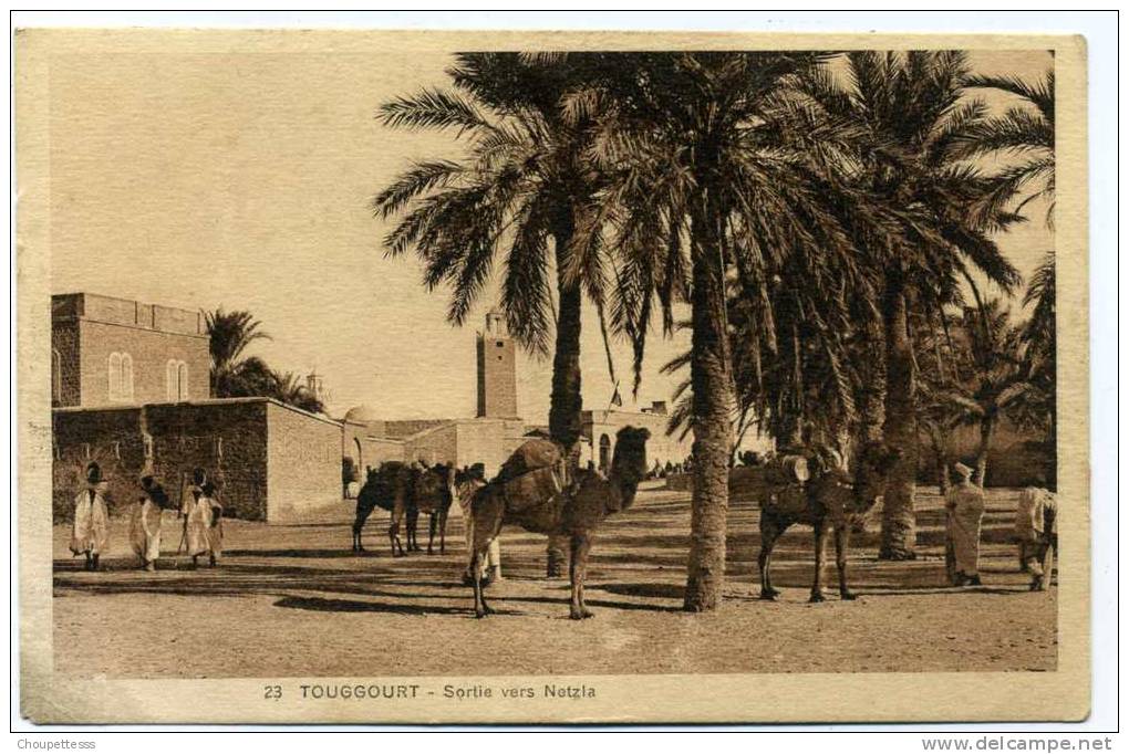 Touggourt - sortie vers Netzia  n° 23
