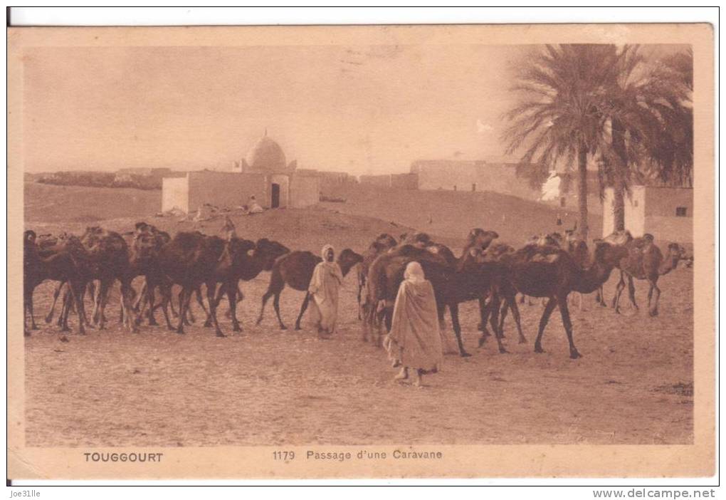 L3526/alg--  Touggourt ; Passage d'une Caravane