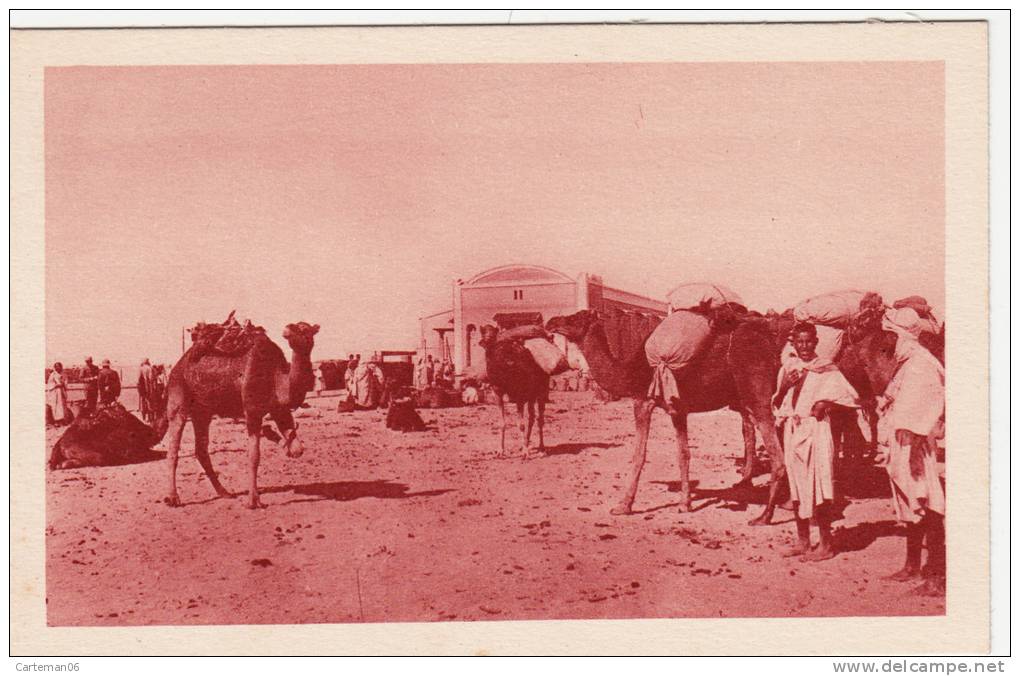Algérie - Convoi de chameaux en gare de Touggourt - Editeur S.P.G.A
