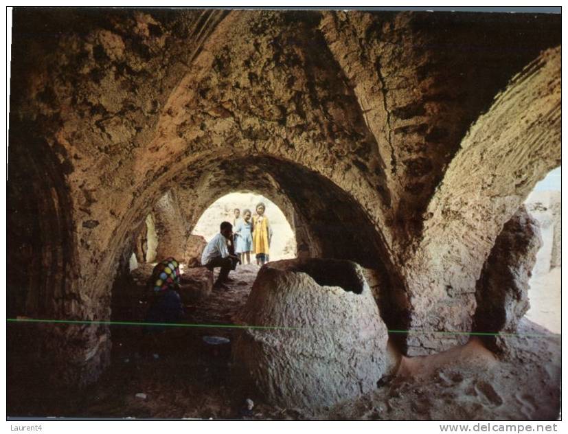 (369) Environ de Touggourt - Temacine