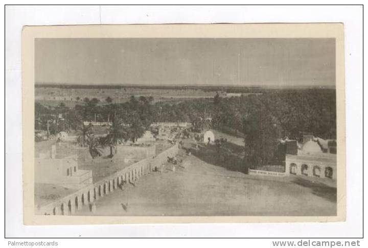 RP Aerial View of Oasis / Vue Generale et l'Oasis,Touggourt,Algeria 1900-10s