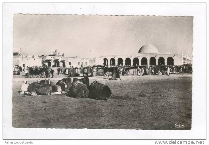 RP Busy Market Square w/ Camels / Sur le Marche,Touggourt,Algeria 1900-10s