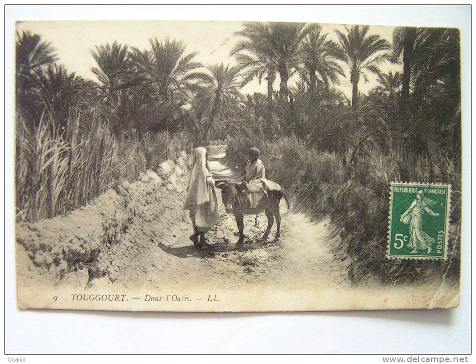 cpa, très belle vue animée, Touggourt, dans l´oasis