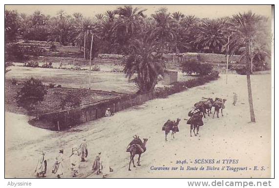 ALGERIE - route de BISKRA à TOUGGOURT - caravane - nr 2046 E.S. - d3 626
