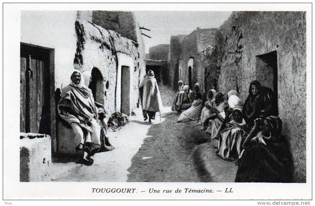Touggourt ( Une rue de Témacine ) carte neuve
