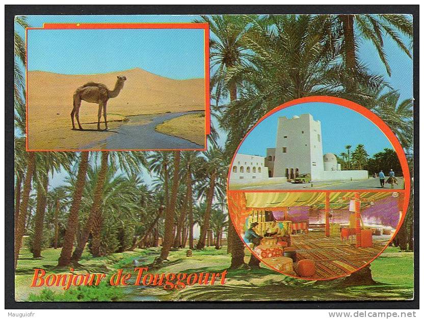 DF / ALGERIE / TOUGGOURT / CARTE MULTIVUES