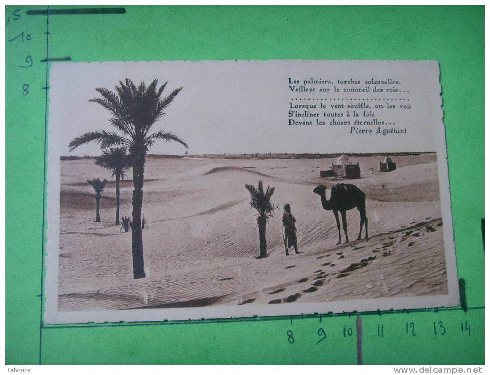 78) aperçu touggourt vu des dunes du tombeau des rois poeme pierre aguetant   dentelee