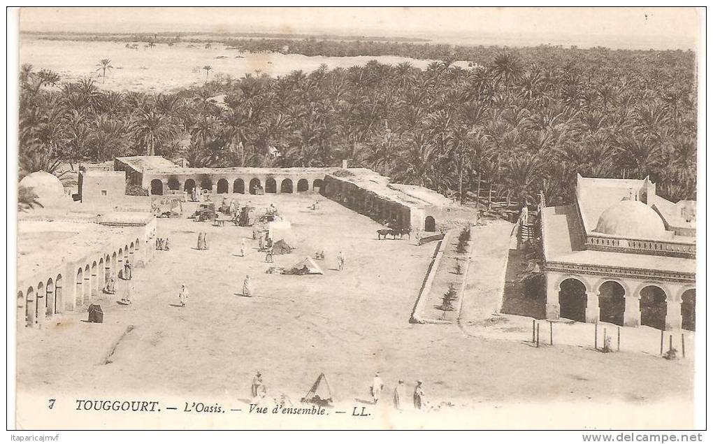 algérie   TOUGGOURT  l ' oasis  , vue